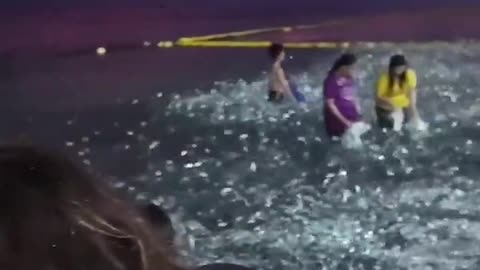 Millions of sardines washed up on the shore in the Philippines. Rapture Nears