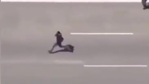 Freeway Foot Pursuit