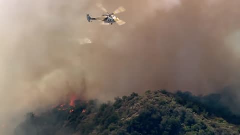Firefighters Battle Beverly hills Blaze