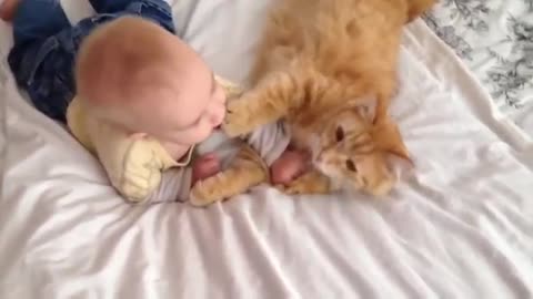 Child playing with a cat (seems like fight to me)🤣😍🤗