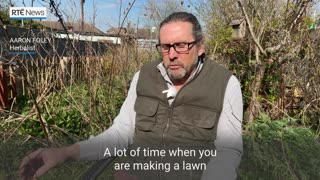Climate Heroes_ Rewilded Dublin garden is streets ahead in the fight against climate change