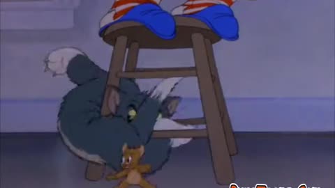 The Midnight Snack | Tom & Jerry