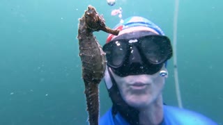 Face to Face with a Seahorse While Freediving Training