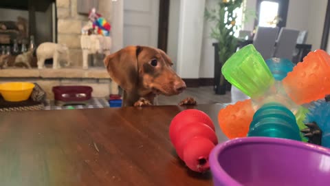 Lilo wants her toy from the coffee table