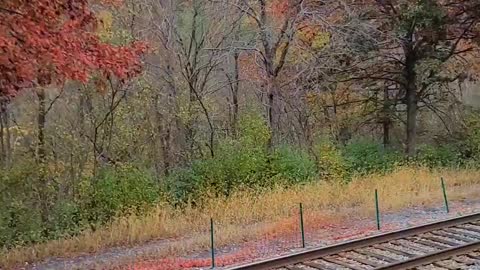 Lehigh Valley Scenic Railway in Fall