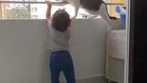 a cat saves a child from death