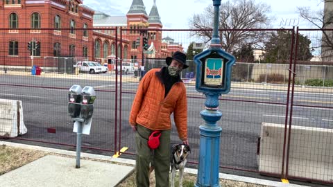 Pedestrians View DC With Sadness and Dismay