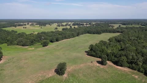 1100 Acre Cattle Ranch For Sale, Simms, Texas, Bowie County