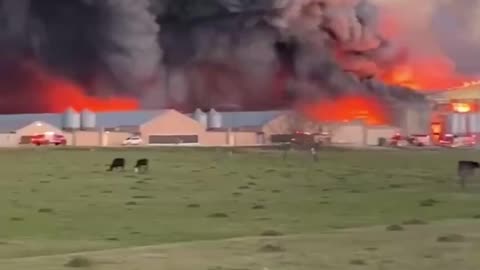 BRYAN, Texas - Feather Crest Farms in Flames with Plumes of Black Smoke