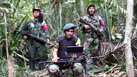 LAS DIVISIONES DE LA FARC CONFLICTO DE INTERESES Y NEGOCIOS ILICITOS
