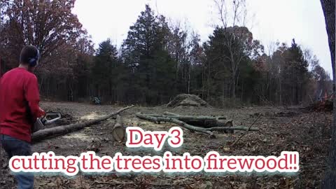 Day 3, cutting trees into firewood.