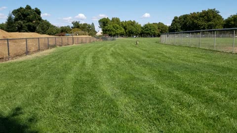 Saturday in the park... with Gunter