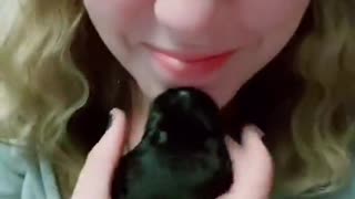 Puppy Suckling on Chin and Causes Hicky