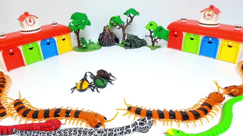 RC Bug Spider, Snake, Scorpion, Crab, Turtle, CocKroach, Frog RC Animals RC Insects Toys