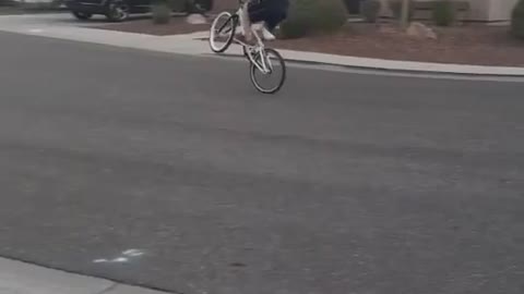 Guy's Attempted Wheelie Doesn't End Well