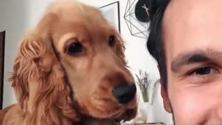 Pup is just so confused by owner's mocking sounds