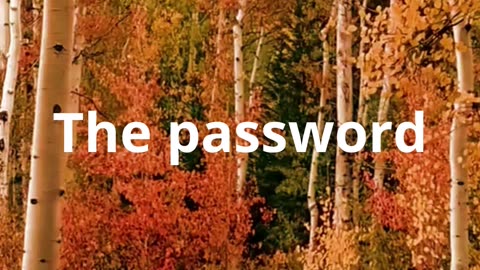 The password wasn't used until...