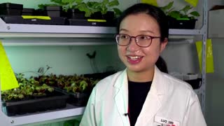 Singapore scientists control plants using smartphones
