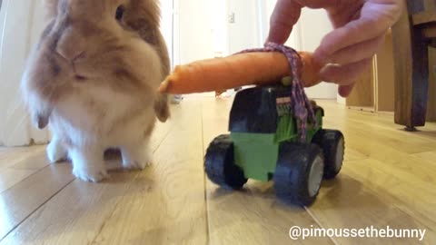 What's up doc ? a carrot on wheels