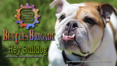 Beatles Brigade - Hey Bulldog