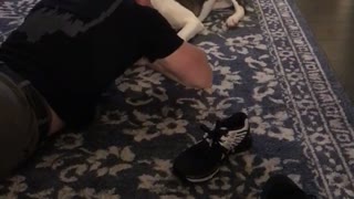 White dog howling with owner on floor