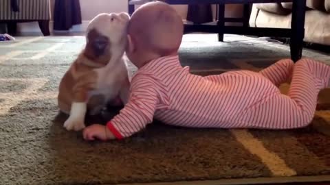 Funny Dogs with Baby | beautiful moments