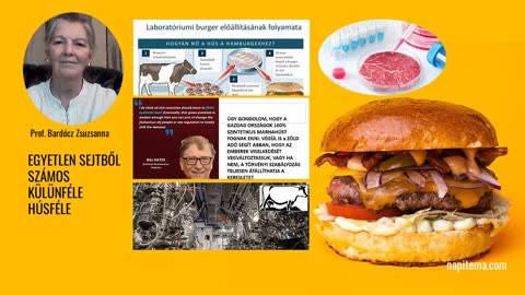 Prof. Bardócz Zsuzsanna - Laboratóriumi hús, Burger előállításának folyamata