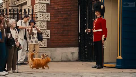 The British Are Coming Scene - Garfield 2 (2022) Movie Clip #cat#funny