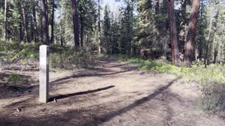 Lower Forest Section of Black Butte Trail – Central Oregon