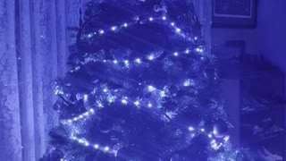 Colors of Christmas Tree