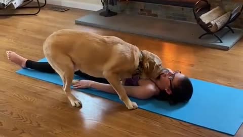 What type of workout do you do with your dog?