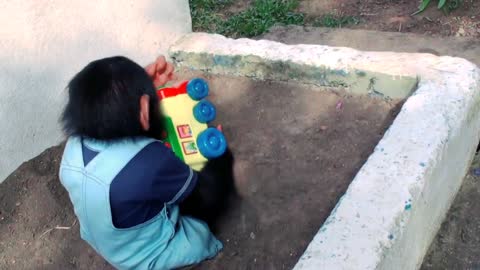 Funny chimpanzee child playing and hugging the train Part 2