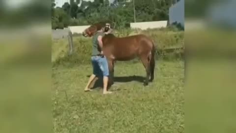 Cavalo e super doidos