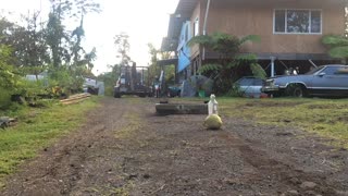 Reese jumping his bike