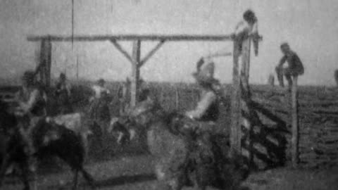 Cattle Leaving The Corral (1898 Original Black & White Film)