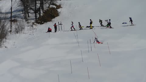 alpine ski