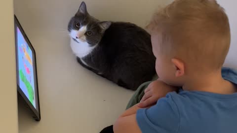 Kid Shares Tub Screen Time With Cat