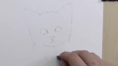 The Treatment Of The Sketch Of Kittens