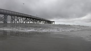 Enjoy the Sights and Sounds from the Isle of Palms, SC