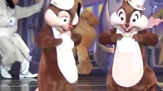 Adorable Twins Chipmunks Show Dance