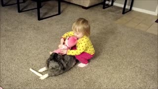 Toddler Makes Puppy Horsey
