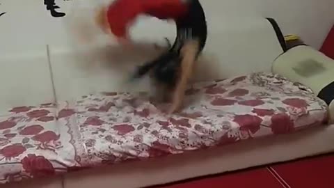 6 year old doing 80 summersault in 60 min