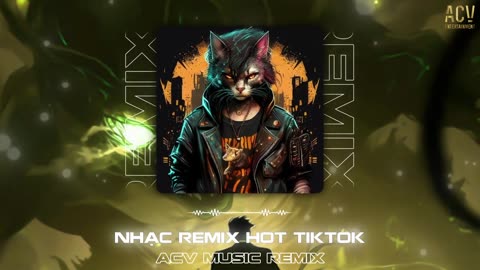 Tiktok hot remix nhạc thịnh hành-remix 2024-Top 20 bài hát