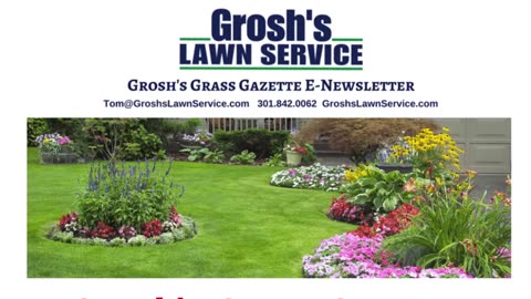 Lawn Mowing Service Hagerstown Maryland Grosh's Grass Gazette November 2023 Video E Newsletter