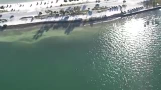 Kite Photography On Dunedin Causeway