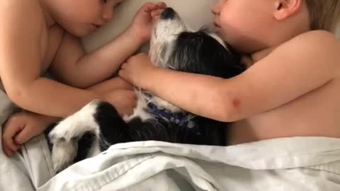 Siblings preciously nap with their rescue dog