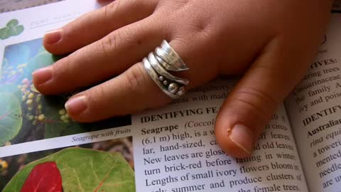 Hypoallergenic .999+ pure silver ring, seagrapes coastal Florida vegetation