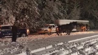 Horses Help Pull Trailer from Snowy Rut