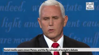 Social media users crown Pence, and the fly, winners of tonight's debate