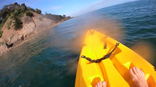 Kayaker's Up-Close Encounter with Pod of Orca